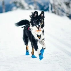 Non-stop Dogwear Long Distance Bootie -Kjæledyrutstyr Salgsbutikk non stop long distance bootie 3e