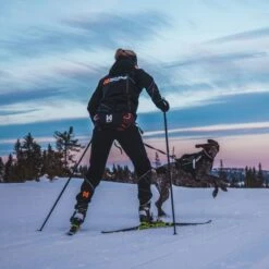 Non-Stop Dogwear Magebelte Til Hund Svart & Oranje -Kjæledyrutstyr Salgsbutikk non stop loype vetovyo musta oranssi az d7