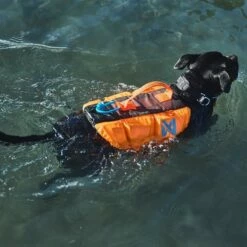 Non-Stop Dogwear Protector Redningsvest Til Hund Oransje & Svart -Kjæledyrutstyr Salgsbutikk non stop protector koirien pelastusliivi musta oranssi az 08