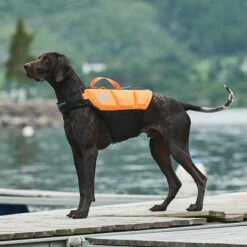 Non-Stop Dogwear Protector Redningsvest Til Hund Oransje & Svart
