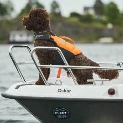 Non-Stop Dogwear Protector Redningsvest Til Hund Oransje & Svart -Kjæledyrutstyr Salgsbutikk non stop protector koirien pelastusliivi musta oranssi az d7