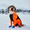 Non-stop Dogwear Protector Snow Hundeoverall Svart & Oransje -Kjæledyrutstyr Salgsbutikk non stop protector sno hane 3c