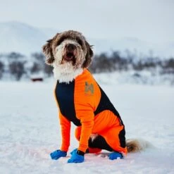 Non-stop Dogwear Protector Snow Hundeoverall Svart & Oransje