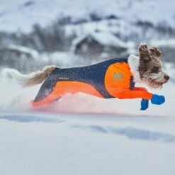 Non-Stop Dogwear Protector Snow Hundeoverall Tispe Svart & Oransje -Kjæledyrutstyr Salgsbutikk non stop protector snow haalari narttumalli az 10