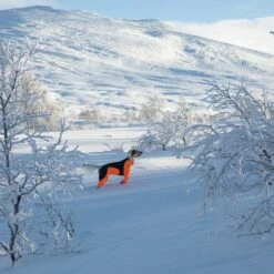 Non-Stop Dogwear Protector Snow Hundeoverall Tispe Svart & Oransje -Kjæledyrutstyr Salgsbutikk non stop protector snow haalari narttumalli az 57