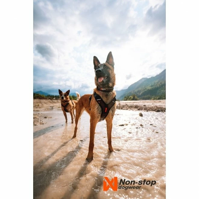 Non-stop Dogwear Rock Hundehalsbånd Halvstryp Svart/Orange 8 Non-stop Dogwear Rock Hundehalsbånd Halvstryp Svart/Orange - Bilde 6