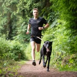 Non-stop Dogwear CaniX Magebelte -Kjæledyrutstyr Salgsbutikk non stop running balte 52