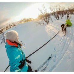 Non-stop Dogwear Touring Bungee Leash Expanderkobbel 23 Mm -Kjæledyrutstyr Salgsbutikk non stop touring bungee leash expanderkoppel a7