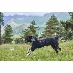 Non-stop Dogwear NonStop Rock Hundsele Lång Svart/Orange -Kjæledyrutstyr Salgsbutikk nonstop rock hundsele lang svart orange fc