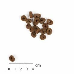 Nutrima Vital Small Breed -Kjæledyrutstyr Salgsbutikk nutrima nutrima vitalsmallbreed 106750 b0