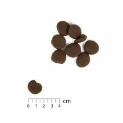 Nutrima Sport Intense -Kjæledyrutstyr Salgsbutikk nutrima sport intense 59