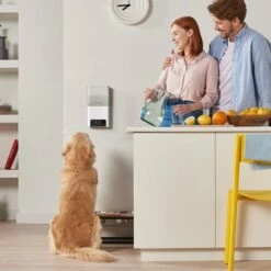 PetCube Bites 2 Lite Interaktiv Kamera For Kjæledyr Med Godteridispenser -Kjæledyrutstyr Salgsbutikk petcube interactive pet camera az 4b