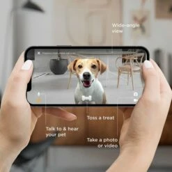 PetCube Bites 2 Lite Interaktiv Kamera For Kjæledyr Med Godteridispenser -Kjæledyrutstyr Salgsbutikk petcube interactive pet camera az cd