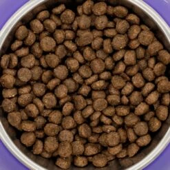 Petgood Adult Cat I Insektsfôr 3x5 Kg -Kjæledyrutstyr Salgsbutikk petgood adult cat insektsfoder 5e