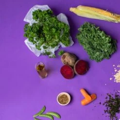 Petgood Adult Cat Insektsfôr -Kjæledyrutstyr Salgsbutikk petgood hyonteisruoka kissalle az 9a