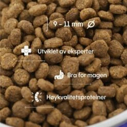 Petgood Puppy & Junior Insektsfôr -Kjæledyrutstyr Salgsbutikk petgood hyonteisruoka pennulle ja emolle az 10