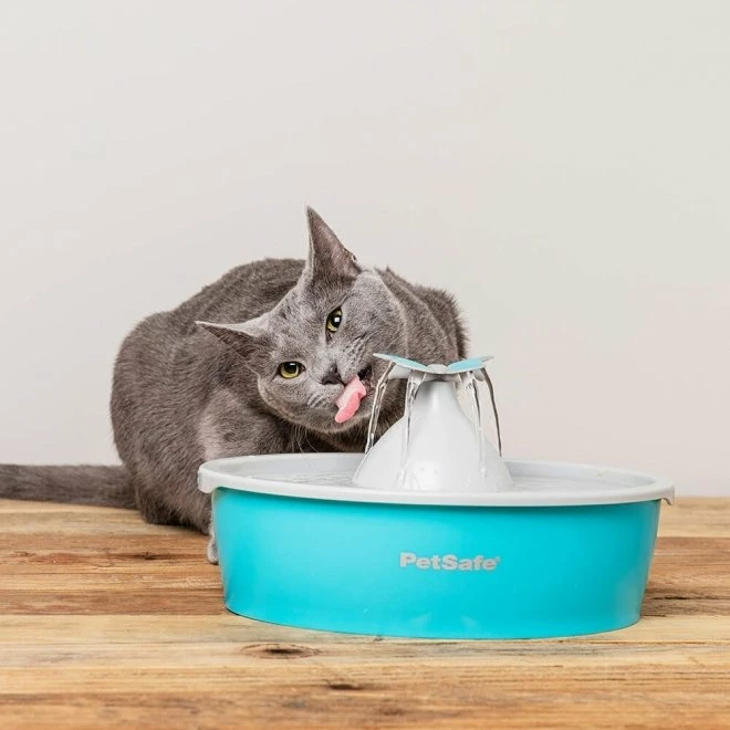 Petsafe Butterfly Drikkefontene 1,5 Liter 6 Petsafe Butterfly Drikkefontene 1,5 Liter - Bilde 4