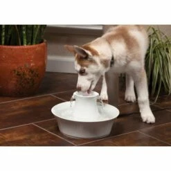 Petsafe Drinkwell Avalon Drikkefontene I Keramikk 7 Petsafe Drinkwell Avalon Drikkefontene I Keramikk -Kjæledyrutstyr Salgsbutikk petsafe drinkwell avalon vattenfontan i keramik 51
