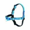 PetSafe Easy Walk Deluxe Antitrekksele Blå -Kjæledyrutstyr Salgsbutikk petsafe easy walk dog valjaat easy walk deluxe ocean 2f