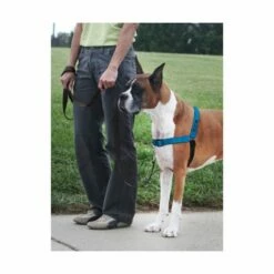 PetSafe Easy Walk Deluxe Antitrekksele Blå -Kjæledyrutstyr Salgsbutikk petsafe easy walk dog valjaat easy walk deluxe ocean koiralla 83