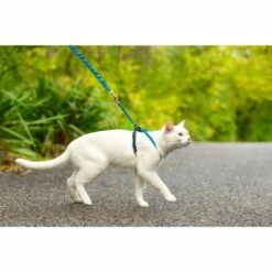 PetSafe Easy Walk Sele + Bånd Til Katt Blå -Kjæledyrutstyr Salgsbutikk petsafe easy walk kissanvaljassetti sininen az 42