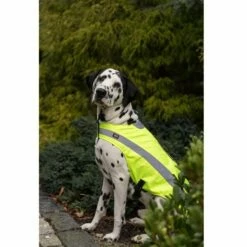 Trixie Hundedekke Refleks