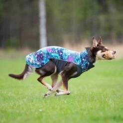 Pomppa Jumppa Fleecetrøye Hund Lilla & Blå -Kjæledyrutstyr Salgsbutikk pomppa jumppa fleecepaita aurora az 55