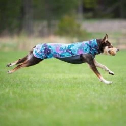 Pomppa Jumppa Fleecetrøye Hund Lilla & Blå -Kjæledyrutstyr Salgsbutikk pomppa jumppa fleecepaita aurora az c4