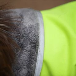 Pomppa Kevyt Regnjakke Hund Grøn 7 Pomppa Kevyt Regnjakke Hund Grøn -Kjæledyrutstyr Salgsbutikk pomppa kevyt regnjacka hund gron 85