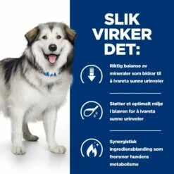Hill's Prescription Diet Canine C/d Urinary + Metabolic Original -Kjæledyrutstyr Salgsbutikk prescription diet canine metabolic plus urinary 4b