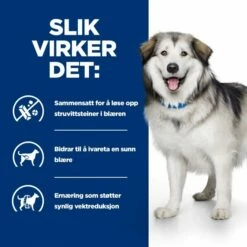 Hill's Prescription Diet Canine C/d Urinary + Metabolic Original -Kjæledyrutstyr Salgsbutikk prescription diet canine metabolic plus urinary d5