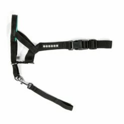 Pro Dog Dressursele Svart