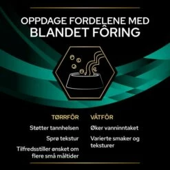 Purina Pro Plan Veterinary Diets Feline EN Chicken Gastrointestinal 10x85 G -Kjæledyrutstyr Salgsbutikk pro plan vd feline en chicken 10x85g az 93