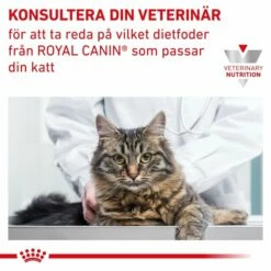 Royal Canin Veterinary Diets Cat Renal Loaf 12x85 G 13 Royal Canin Veterinary Diets Cat Renal Loaf 12x85 G -Kjæledyrutstyr Salgsbutikk rc vd cat vital renal loaf pouch 12x85g 2f