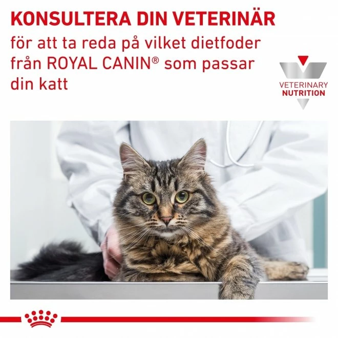 Royal Canin Veterinary Diets Cat Renal Loaf 12x85 G 8 Royal Canin Veterinary Diets Cat Renal Loaf 12x85 G - Bilde 6