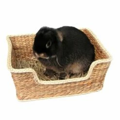 Rosewood Chill'n'Snooze Seng