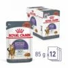 Royal Canin Appetite Control Gravy 12 X 85 G -Kjæledyrutstyr Salgsbutikk royal canin appetite control care gravy 12x85 g ee