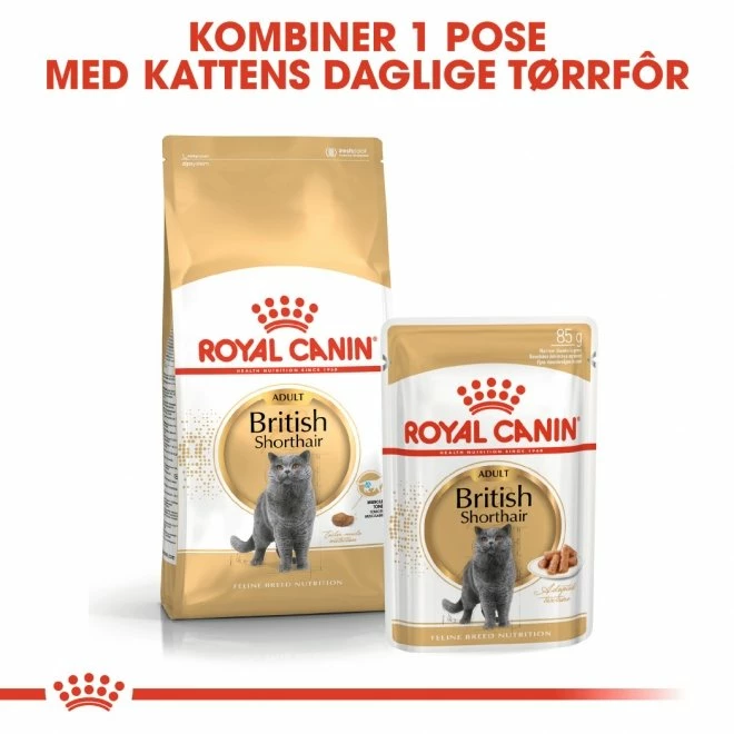Royal Canin British Shorthair Wet (12x85g) 8 Royal Canin British Shorthair Wet (12x85g) - Bilde 6