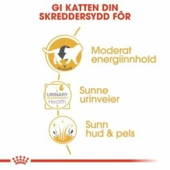 Royal Canin British Shorthair Wet (12x85g) 10 Royal Canin British Shorthair Wet (12x85g) -Kjæledyrutstyr Salgsbutikk royal canin british shorthair 12 x 85 g 84