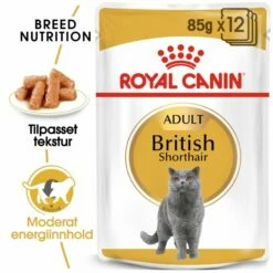 Royal Canin British Shorthair Wet (12x85g) 9 Royal Canin British Shorthair Wet (12x85g) -Kjæledyrutstyr Salgsbutikk royal canin british shorthair 12 x 85 g 89