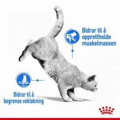 Royal Canin Cat Light Weight Care Gravy 12 X 85 G 15 Royal Canin Cat Light Weight Care Gravy 12 X 85 G -Kjæledyrutstyr Salgsbutikk royal canin cat light weight care gravy 12 x 85 g f3