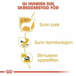 Royal Canin Chihuahua Wet (12x85g) -Kjæledyrutstyr Salgsbutikk royal canin chihuahua 12x85g ee