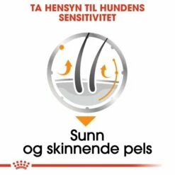 Royal Canin Coat Care Adult Wet -Kjæledyrutstyr Salgsbutikk royal canin coat care adult 12x85 g 4f