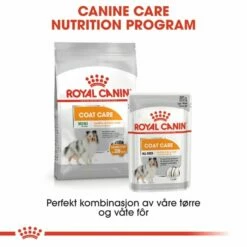 Royal Canin Coat Care Adult Wet -Kjæledyrutstyr Salgsbutikk royal canin coat care adult 12x85 g bc