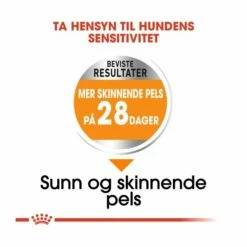 Royal Canin Coat Care Mini Adult -Kjæledyrutstyr Salgsbutikk royal canin coat care mini adult 1e