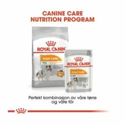 Royal Canin Coat Care Mini Adult -Kjæledyrutstyr Salgsbutikk royal canin coat care mini adult 4f