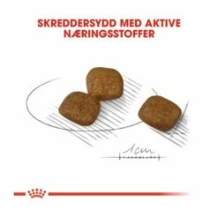 Royal Canin Coat Care Mini Adult -Kjæledyrutstyr Salgsbutikk royal canin coat care mini adult 60