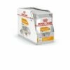 Royal Canin Coat Care Adult Wet -Kjæledyrutstyr Salgsbutikk royal canin coat care wet 2b