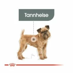 Royal Canin Dental Care Mini Adult -Kjæledyrutstyr Salgsbutikk royal canin dental care mini adult 06