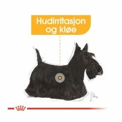 Royal Canin Dermacomfort Adult 12x85 G 11 Royal Canin Dermacomfort Adult 12x85 G -Kjæledyrutstyr Salgsbutikk royal canin dermacomfort adult 12x85 g 84